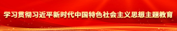 操BB操BB学习贯彻习近平新时代中国特色社会主义思想主题教育